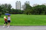Green space surrounds this Kuala Lumpur apartment complex.