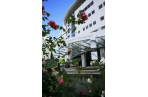 Roses at the entrance to  Christchurch Women's Hospital.