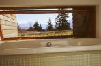 Bathtub with a view. 