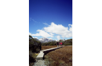 Boardwalk at Key Summit.