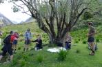 A feast for walkers beneath Nicky's "wedding tree".