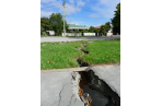 Massive crack ruptures the footpath in Avonside.