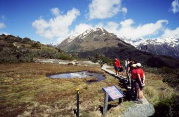 Protected fauna and mountain tarn at Key Summit. Protected fauna and mountain tarn at Key Summit.